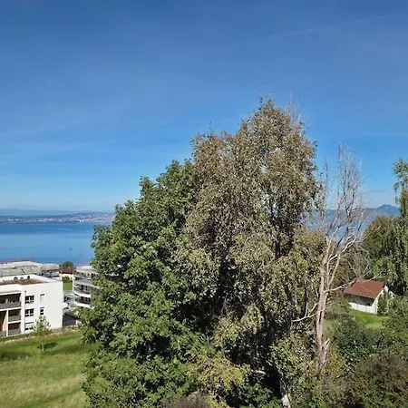 شقة Le Leman Vision - Vue
