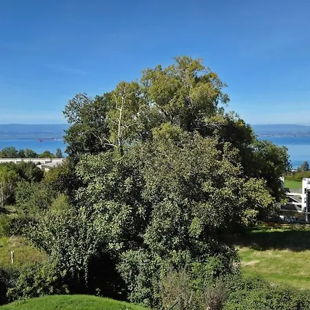 Le Leman Vision - Vue *